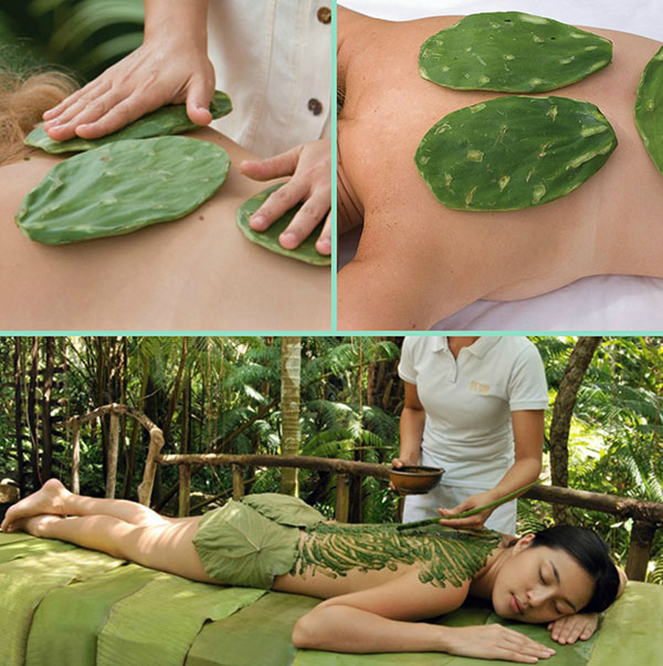 лечебный массаж с кактусом