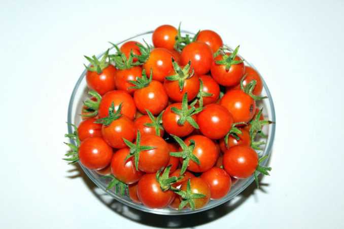 5 детерминантных сортов томатов черри для выращивания в открытом грунте
