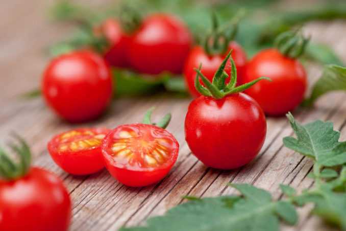 5 детерминантных сортов томатов черри для выращивания в открытом грунте