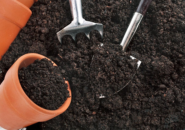 подготовка грунта и почвы