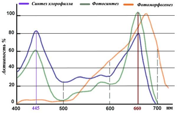 График эффективности спектра для рассады
