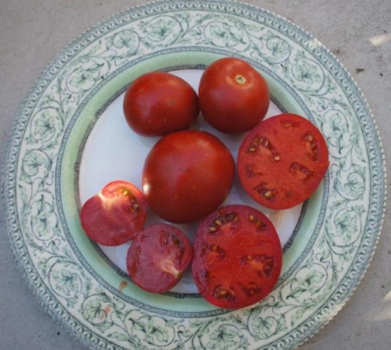 плоды томата ямал