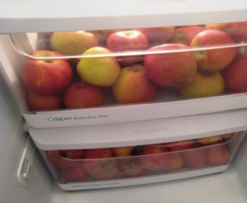 хранение яблок в холодильнике