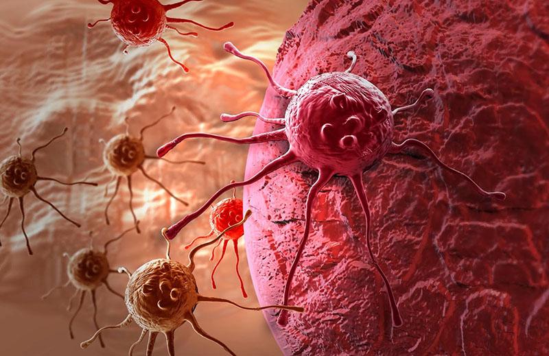борьба с раковыми клетками