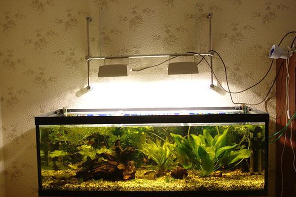 свет для растений в аквариуме