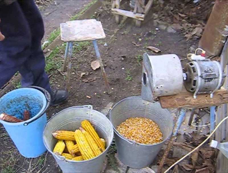 процесс лущения кукурузы