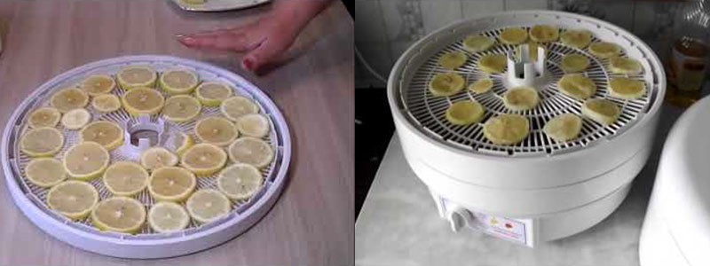 как засушить лимон для декора в электросушилке
