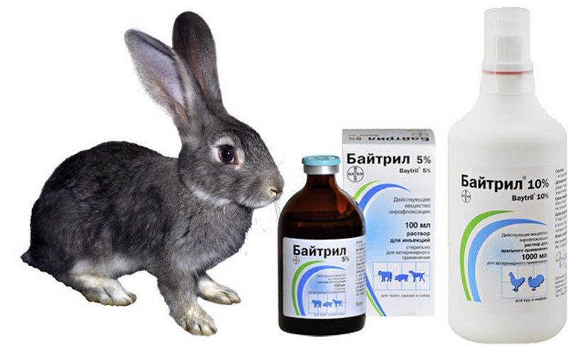байтрил для лечения кроликов