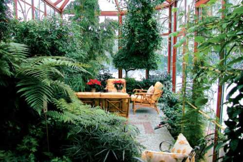 Влажность и высокая температура – основные требования для тропических зимних садов