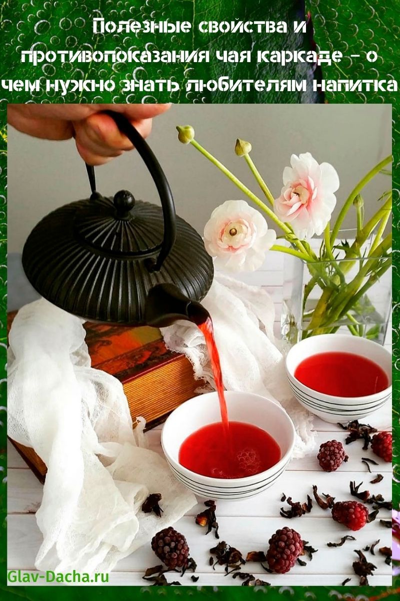 полезные свойства и противопоказания чая каркаде