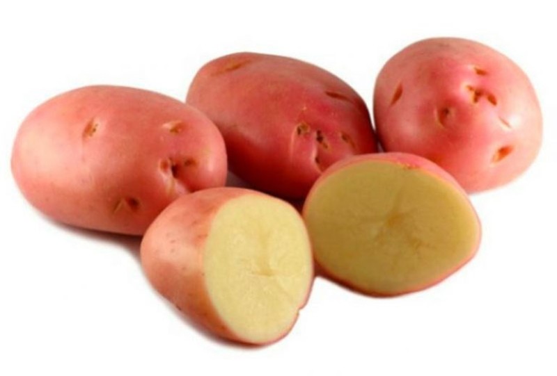 картофель вишенка или беллароза