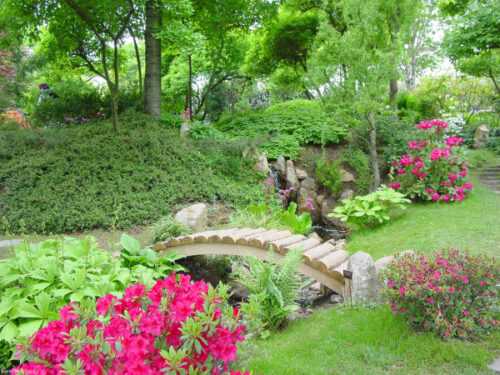 Интерьер сада (35 фото): планировка. Обустройство садовой зоны и зона отдыха. Основные стили