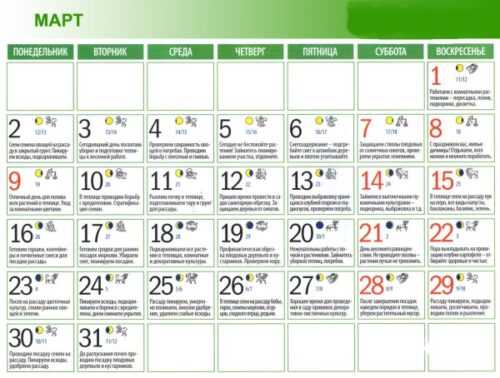 Календарь садовода на март 2015 поможет не пропустить сроки подготовки к сезону