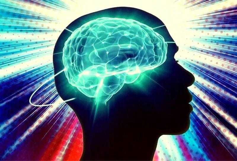 тиамин активирует работу мозга