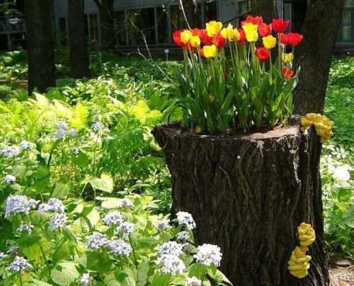 Размещенные в саду пни можно использовать несколькими способами. Например, на них можно поставить вазоны с цветами. Еще вариант – посадить цветы в углубление, сделанное внутри пня. В конце концов, пенечки можно просто выкрасить яркими красками.