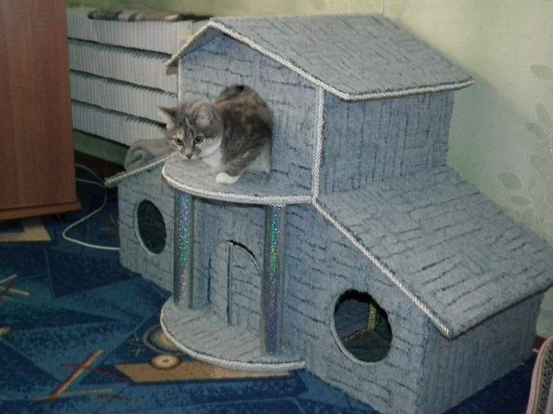 двухэтажный домик для кошки своими руками