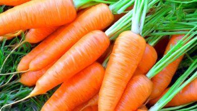 2 вкусных и простых способов заготовить морковку на зиму 